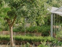 Jardinier-maraîcher permaculturel : 12 jours