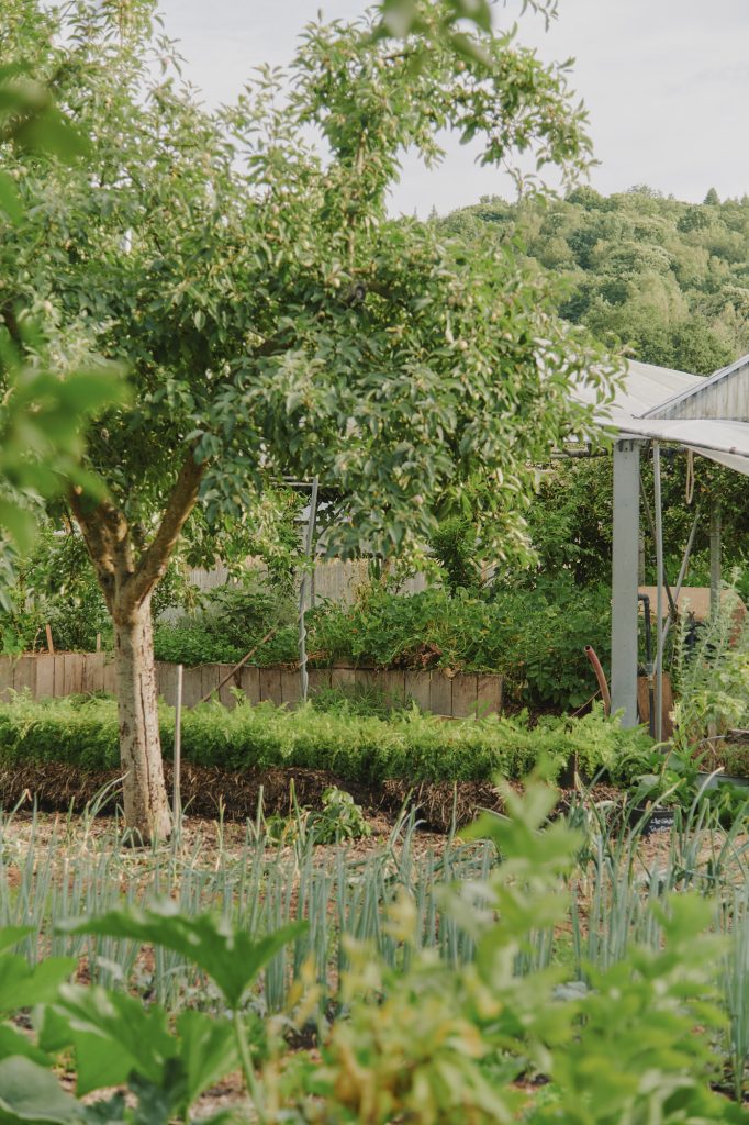 Jardinier-maraîcher permaculturel : 12 jours