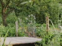 Introduction à la Permaculture et à l’Écoculture 2026
