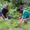 Introduction à la Permaculture et à l’Écoculture 2027