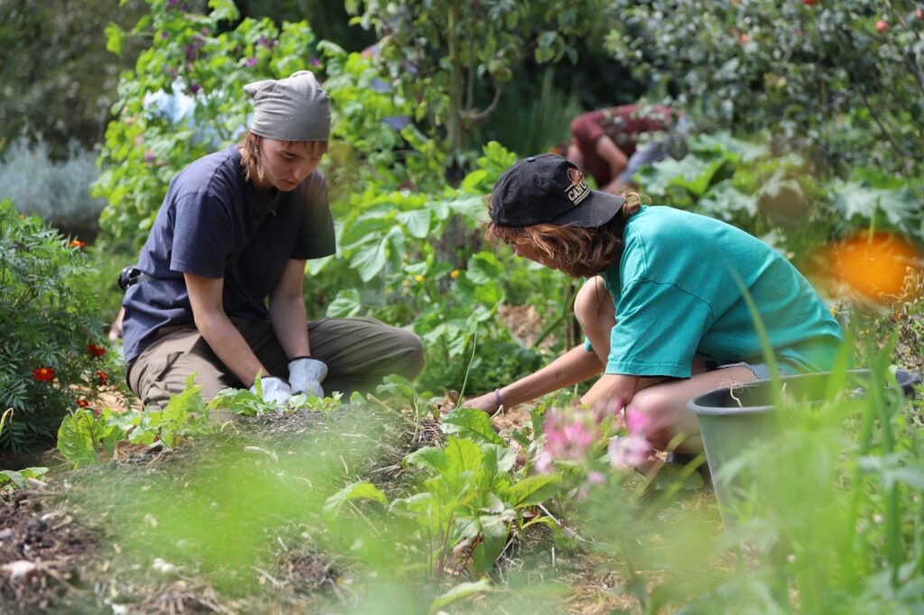 Introduction à la Permaculture et à l’Écoculture 2027