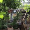 Introduction à la Permaculture et à l’Écoculture 2027