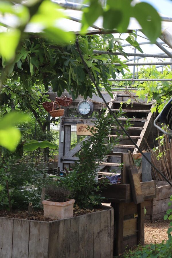 Introduction à la Permaculture et à l’Écoculture 2027