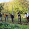Introduction à la Permaculture et à l’Écoculture 2027