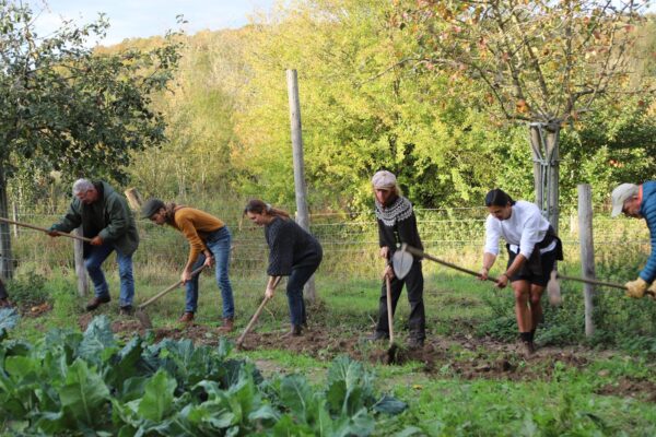 Introduction à la Permaculture et à l’Écoculture 2027