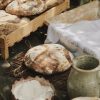 Micro-fournil au levain naturel 2026