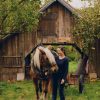 La traction animale paysanne