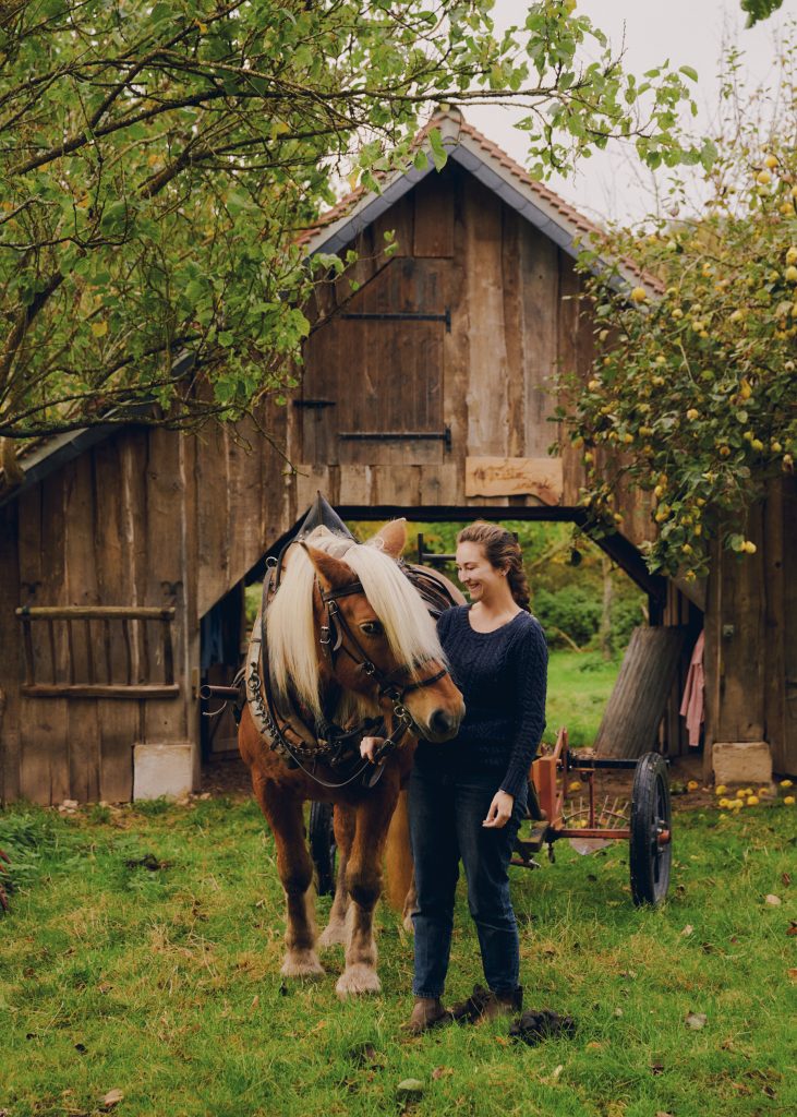 La traction animale paysanne