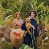 La traction animale paysanne