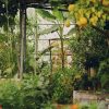 select Shoot1_Bec_H_06943 Se nourrir de son jardin : 5 jours