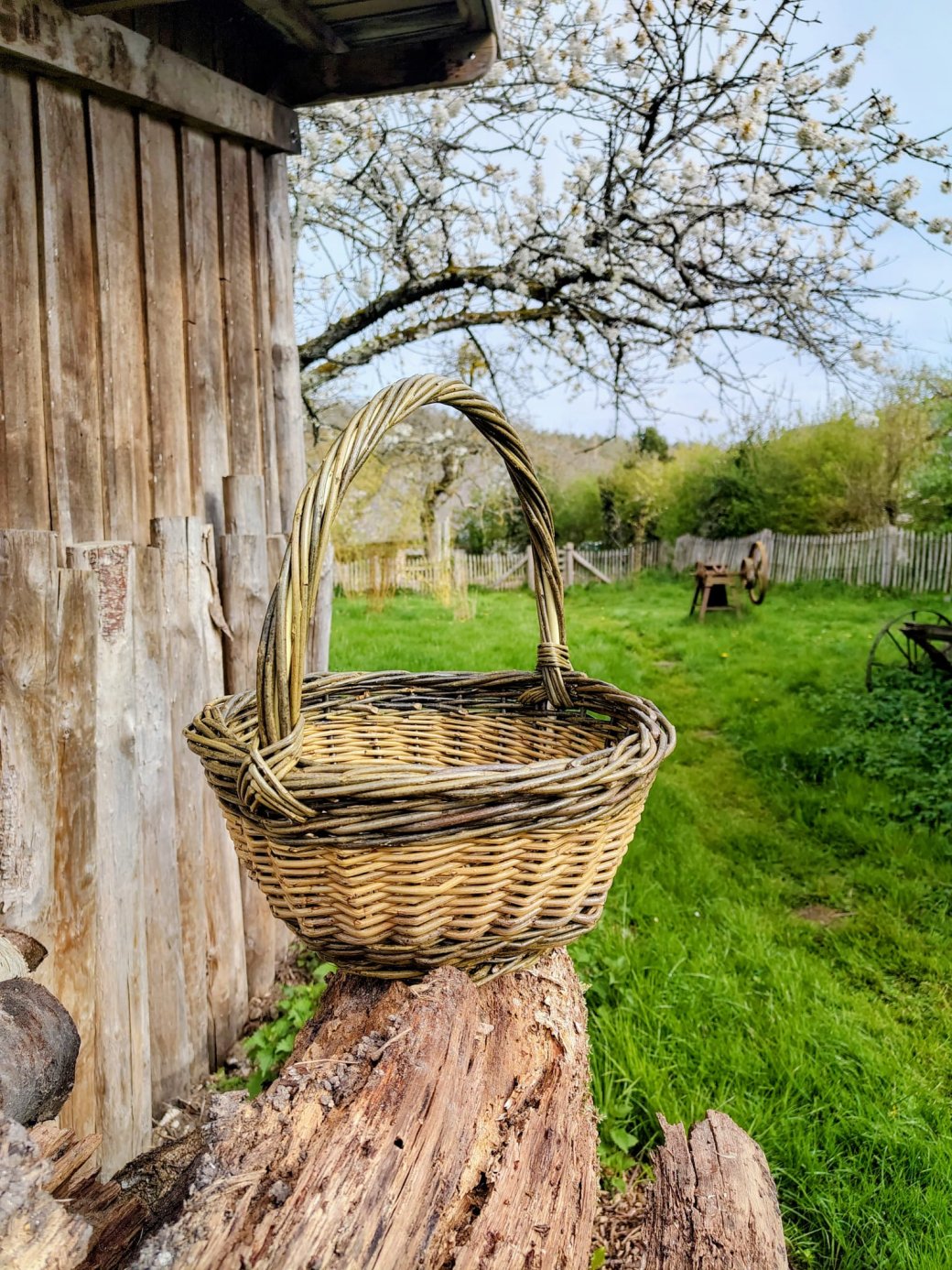 Carnet de bord de la ferme